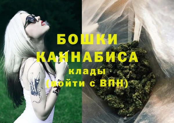 дмт Мегион