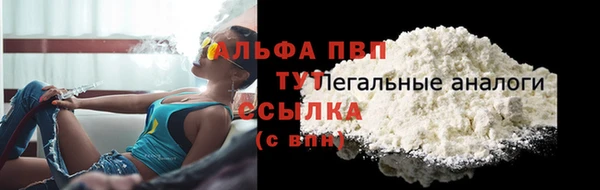 ПСИЛОЦИБИНОВЫЕ ГРИБЫ Магадан