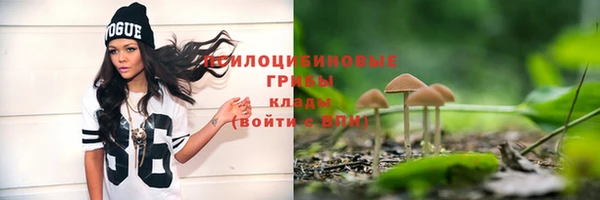соль ск Медногорск