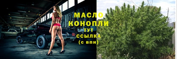 дмт Мегион
